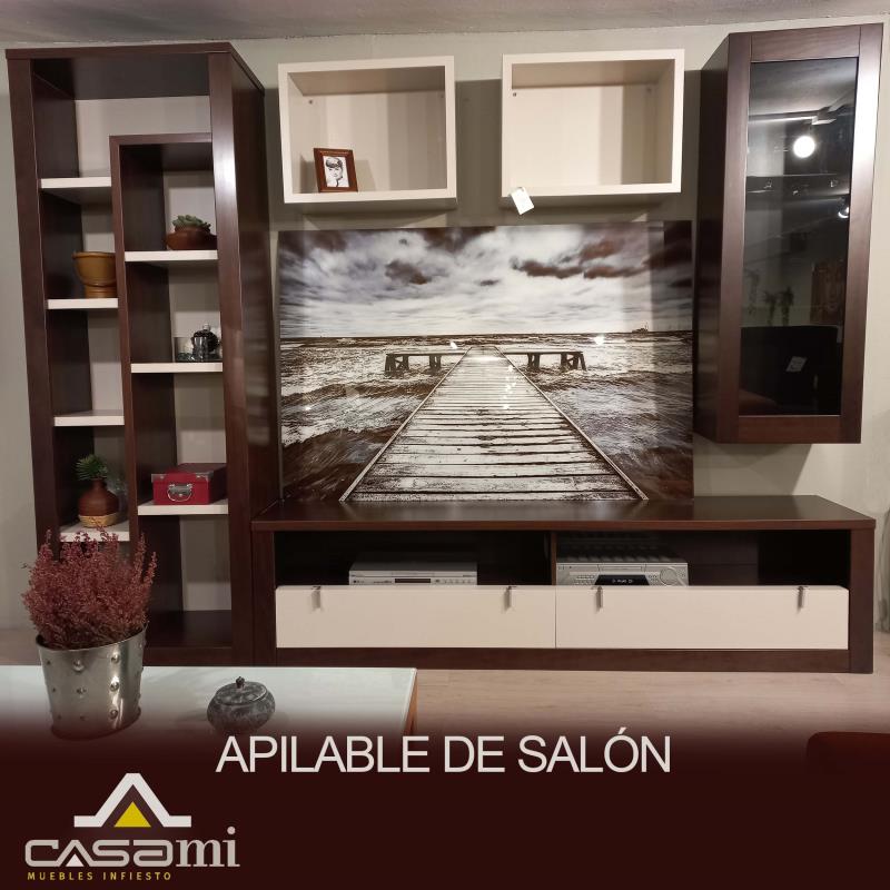 Mueble de Salón